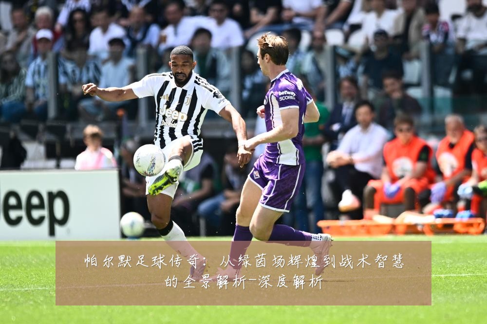 帕尔默足球传奇:从绿茵场辉煌到战术智慧的全景解析-深度解析